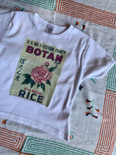 Load image into Gallery viewer, Botan Rice Vintage White Crop Top - M