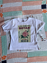 Load image into Gallery viewer, Botan Rice Vintage White Crop Top - M