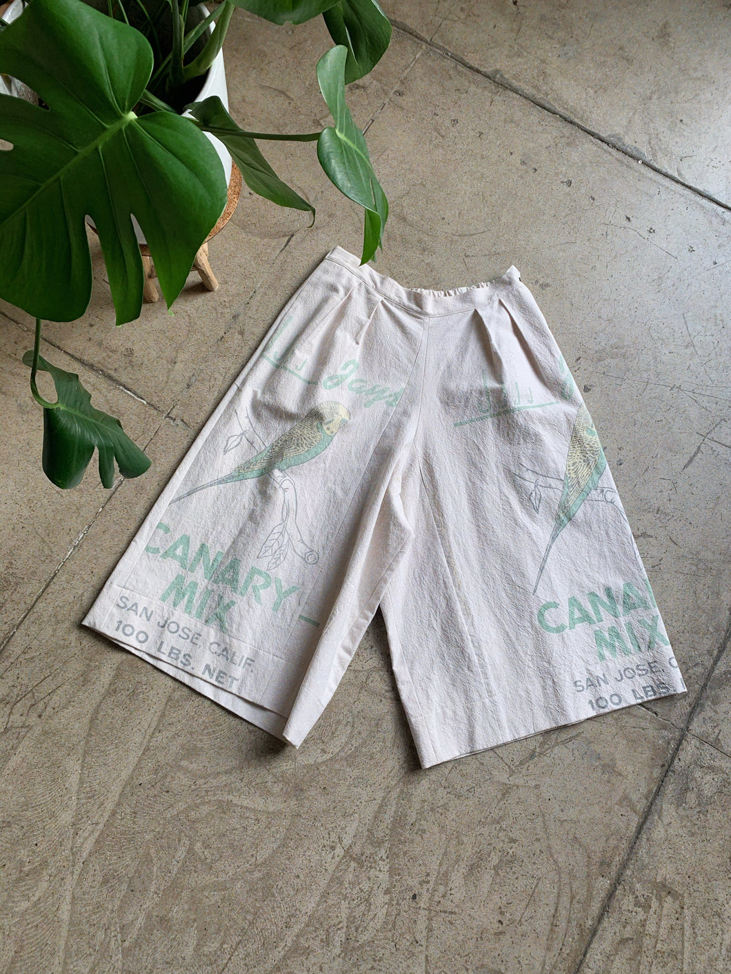 Canary Culottes