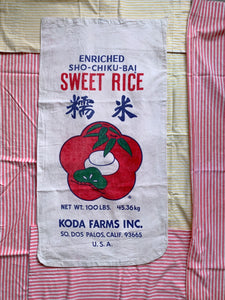 Sweet Rice Runaway Dress 6-8