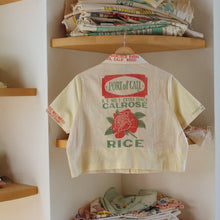 Load image into Gallery viewer, Sunblest in Harmony Crop Top