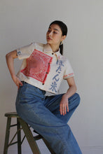 Load image into Gallery viewer, Botan Check Crop Top