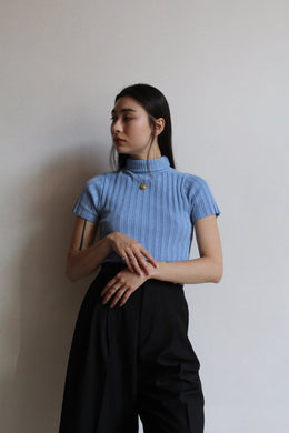 Blue Ribbed Turtleneck Knit Blouse
